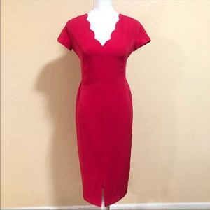 Maggy London Fushia Business Dress